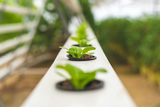 organic-design.com