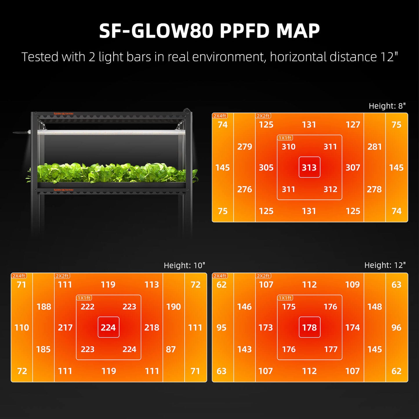 Spider Farmer® Glow80 PPFD-Werte - Wissenschaftlich optimierte Lichtintensität für Pflanzen