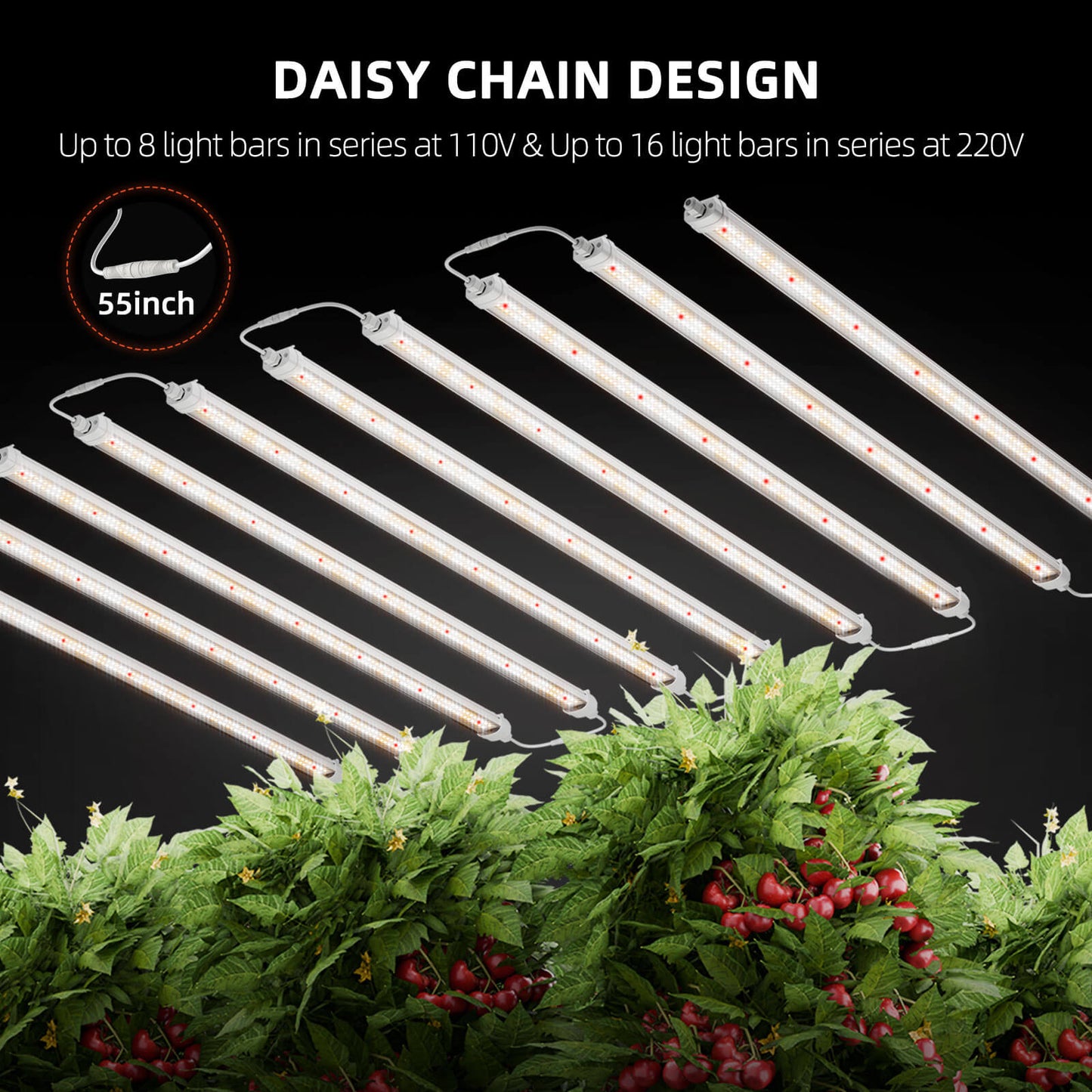 Spider Farmer® Glow80 Daisy-Chain Funktion - Mehrere Leisten einfach verketten