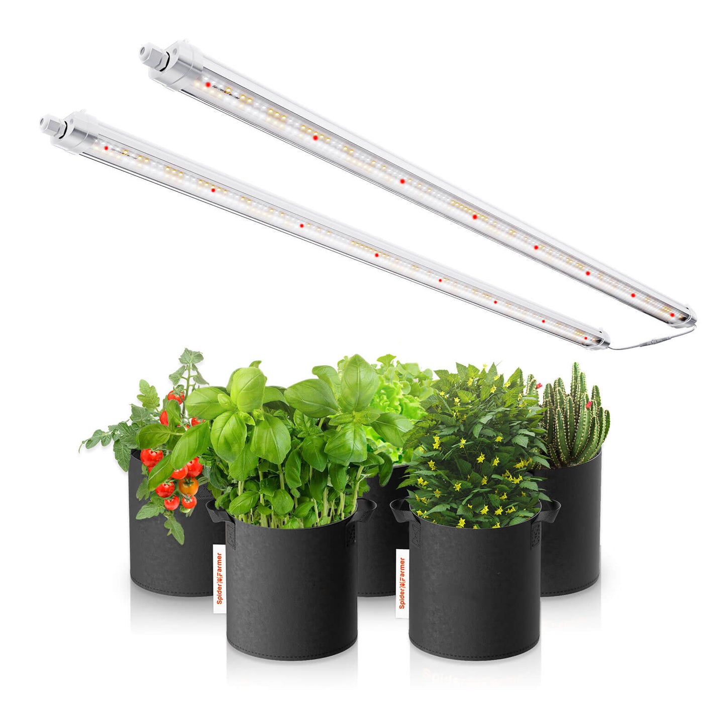 Spider Farmer® Glow80 80W Grow Light - Energieeffiziente LED-Technologie für Profis