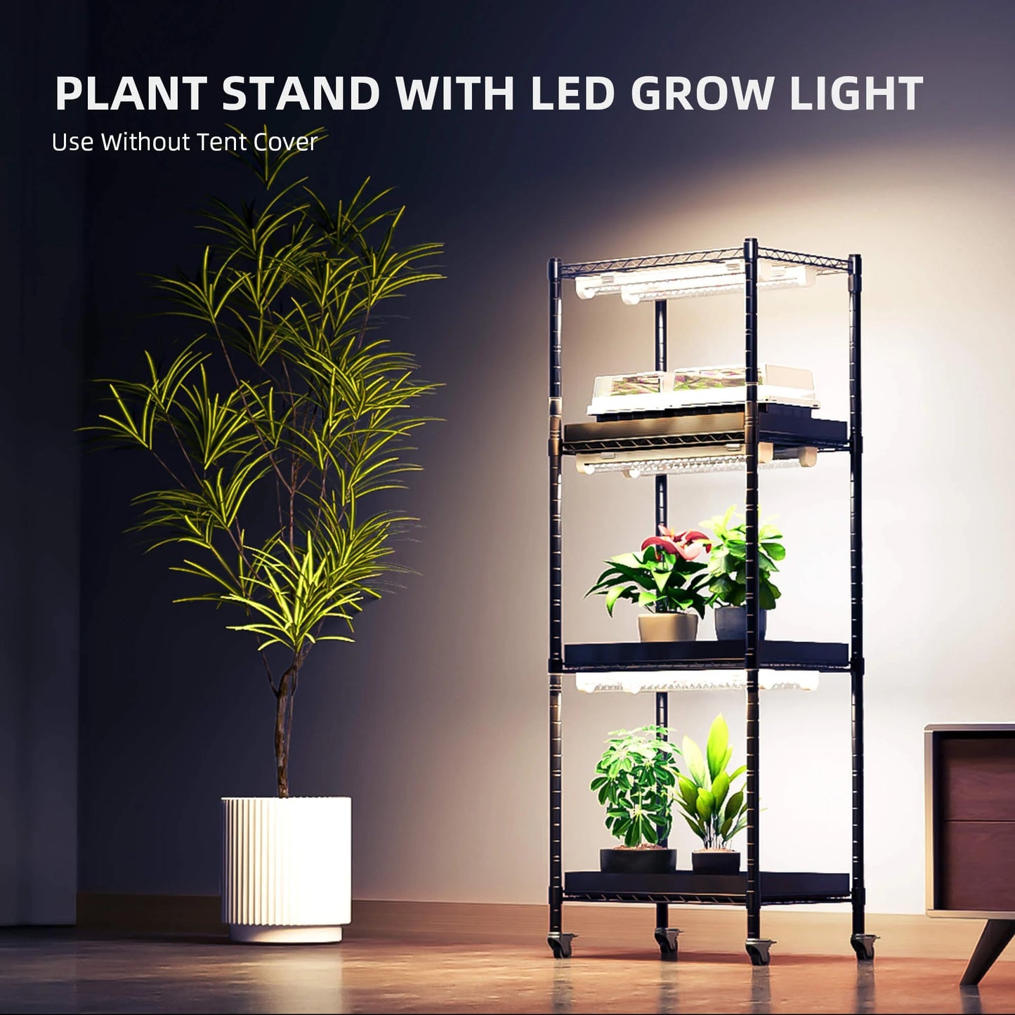 Cultivation & plant shelf 3 levels combo