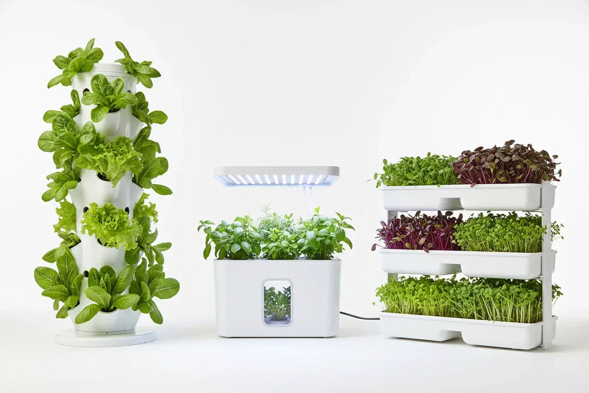 Smart Gardening 2026 mit Sensorik und automatisierter Hydroponik
