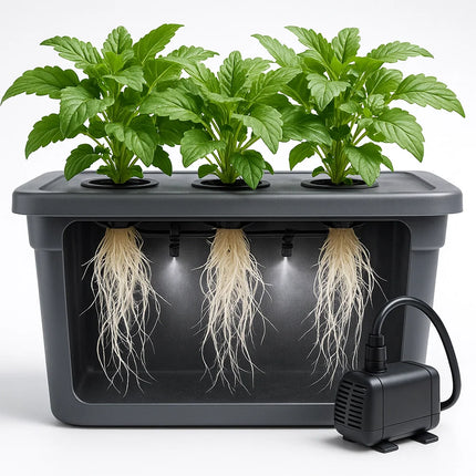 Aeroponische Systeme | organic-design.com