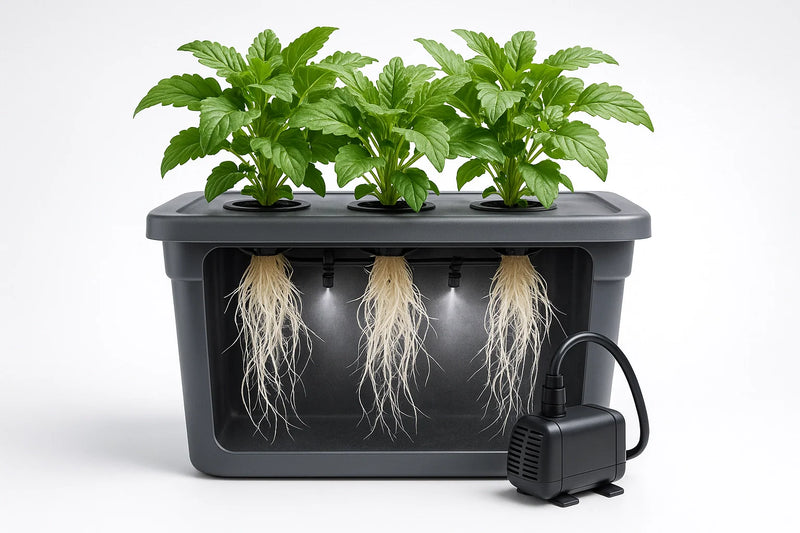 Aeroponische Systeme | organic-design.com