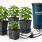 AutoPot-Systeme | organic-design.com