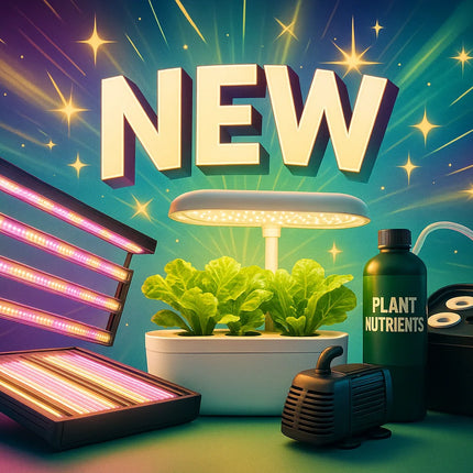 Neue Produkte | organic-design.com