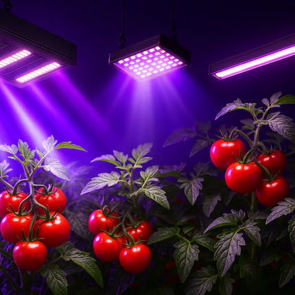 Hydroponik Beleuchtung | organic-design.com