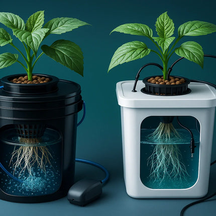 Tiefwasser-Kultur & Drip-Systeme | organic-design.com