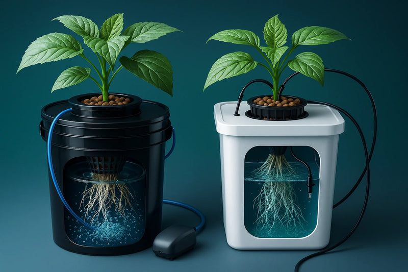 Tiefwasser-Kultur & Drip-Systeme | organic-design.com