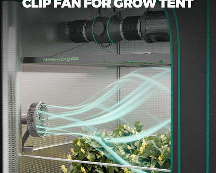 Mars Hydro TS 1000 Growbox Komplettset 80x80x160cm mit 150W LED
