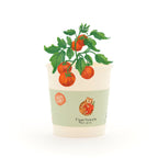 Tigertomate - Becher Anzuchtset