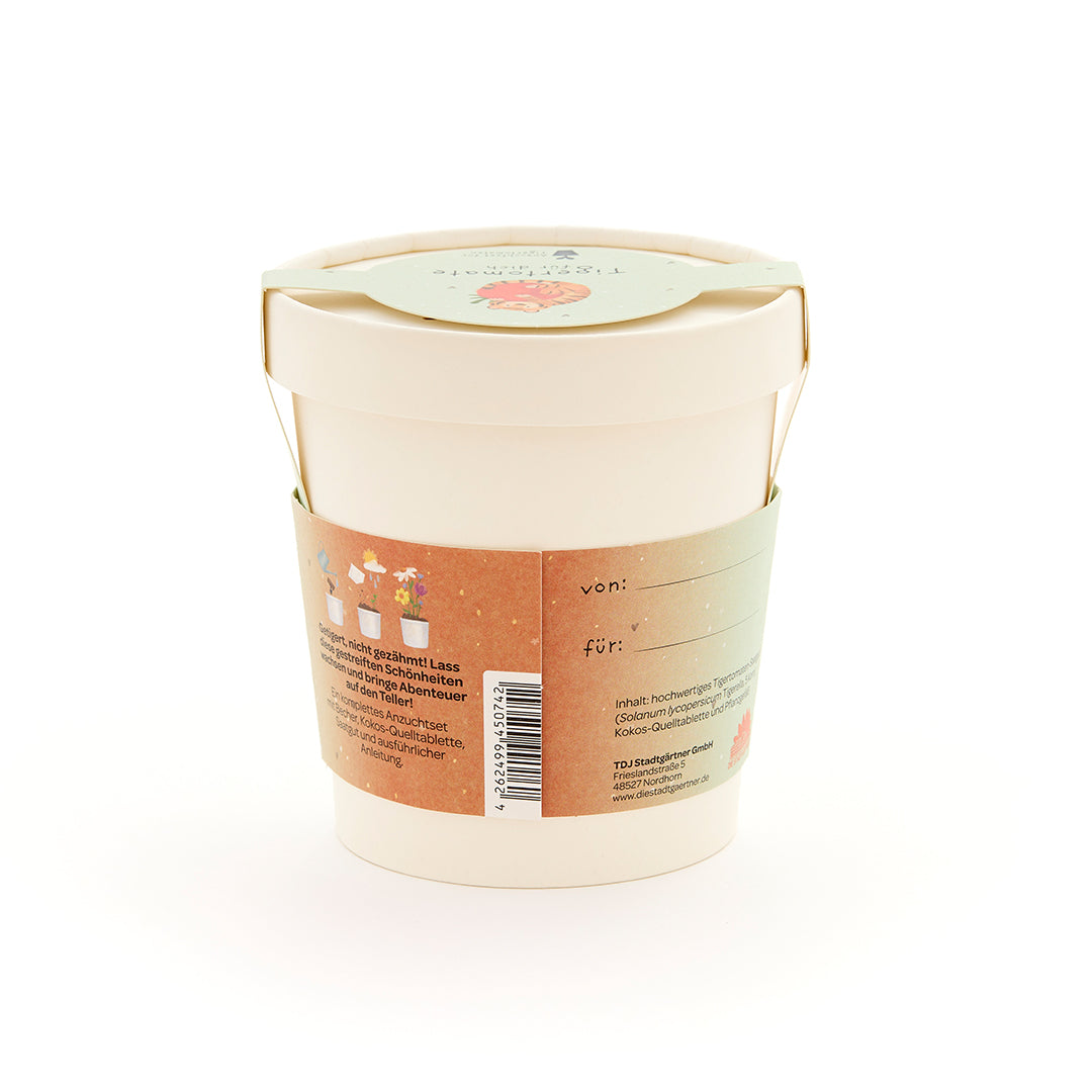 Tigertomate - Becher Anzuchtset