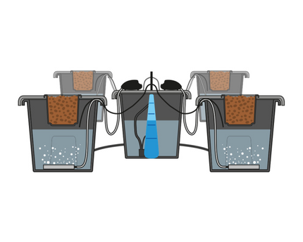 PLANT!T aeros Doppel-Belüftungssystem 2 Luftpumpen Ausströmer Sauerstoffversorgung DWC Master