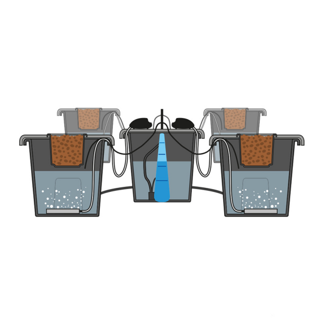 PLANT!T aeros Doppel-Belüftungssystem 2 Luftpumpen Ausströmer Sauerstoffversorgung DWC Master