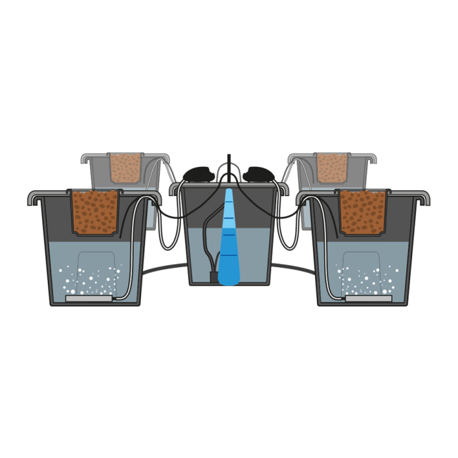 PLANT!T aeros Doppel-Belüftungssystem 2 Luftpumpen Ausströmer Sauerstoffversorgung DWC Master