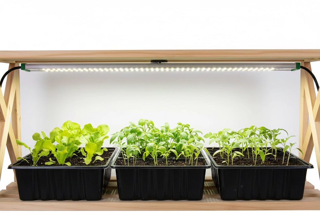 ROOT!T LED-Wachstumslampe – koppelbar optimal für Anzuchtregal