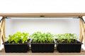 ROOT!T LED-Wachstumslampe – koppelbar optimal für Anzuchtregal