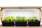 ROOT!T LED-Wachstumslampe – koppelbar optimal für Anzuchtregal
