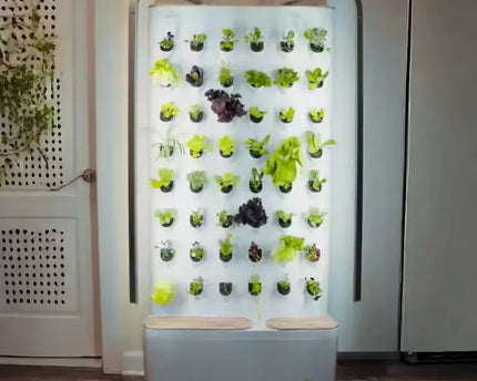 Smart-Wall indoor-Garten - organic-design.com