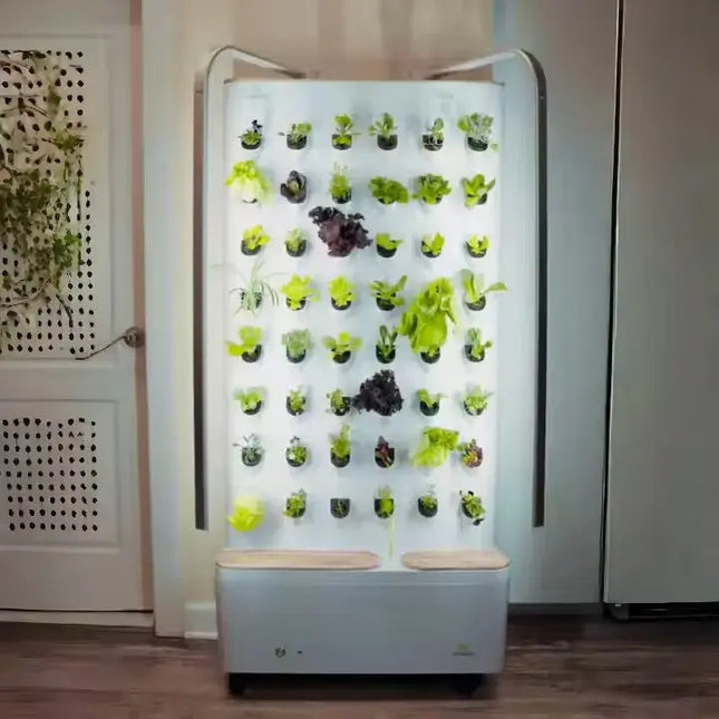 Smart-Wall indoor-Garten - organic-design.com