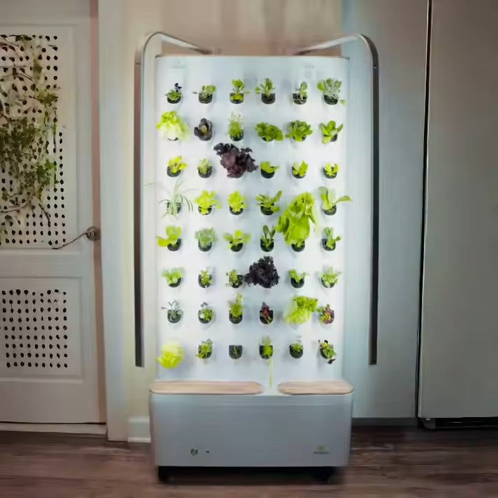 Smart-Wall indoor-Garten