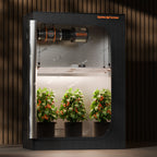 Professioneller Indoor-Anbau mit Spider Farmer G4500 320W LED-Beleuchtung