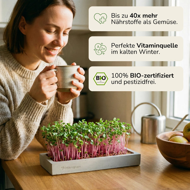 Microgreens Starter-Set 3 Sorten Bio-zertifiziert