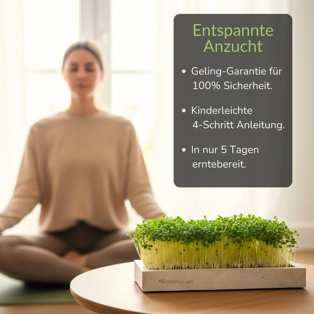 Microgreens Starter-Set 3 Sorten Geling-Garantie
