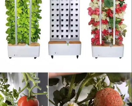 Smart-Wall indoor-Garten - organic-design.com
