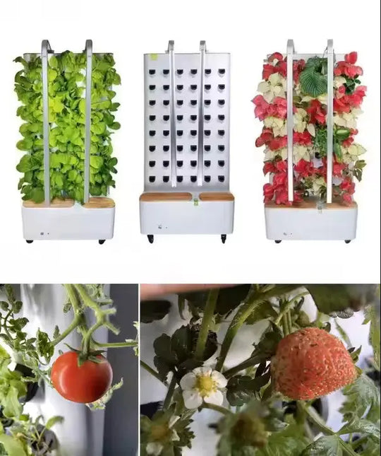 Smart-Wall indoor-Garten - organic-design.com