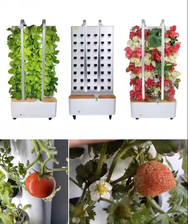 Smart-Wall indoor-Garten