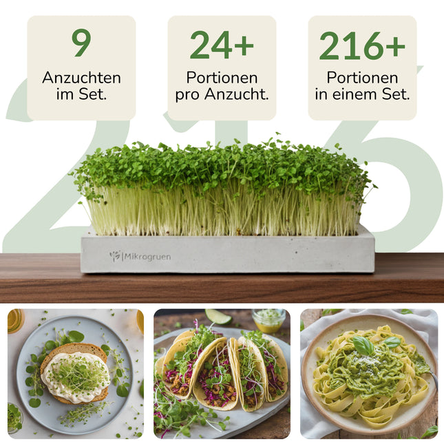 Microgreens Starter-Set 3 Sorten Inhalt & Portionen