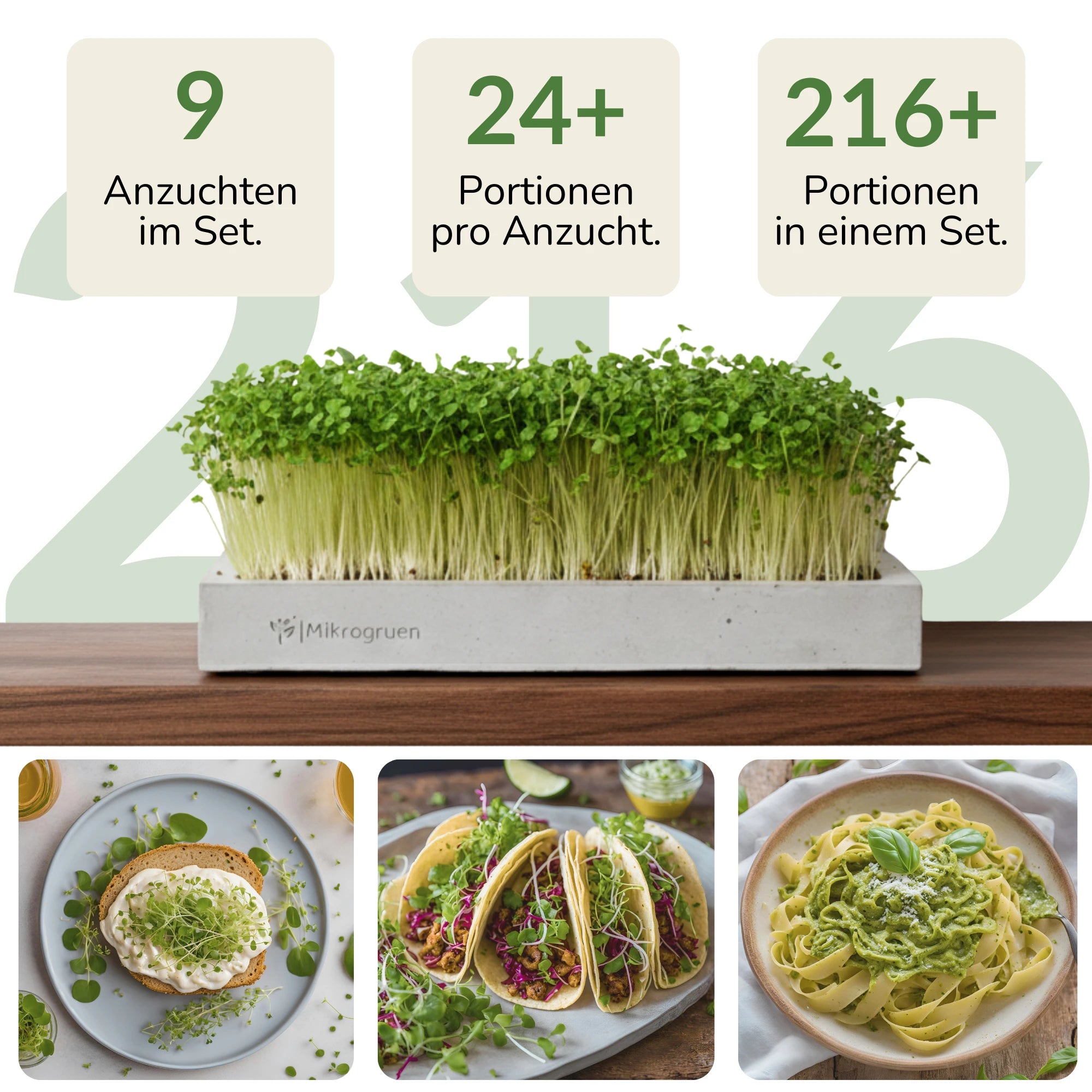 Microgreens Starter-Set 3 Sorten Inhalt & Portionen