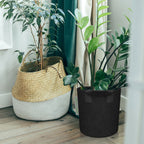 Mars Hydro Grow Bags Indoor Anwendung - Perfekt für Growzelte und Hydroponik