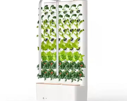 Smart-Wall indoor-Garten - organic-design.com