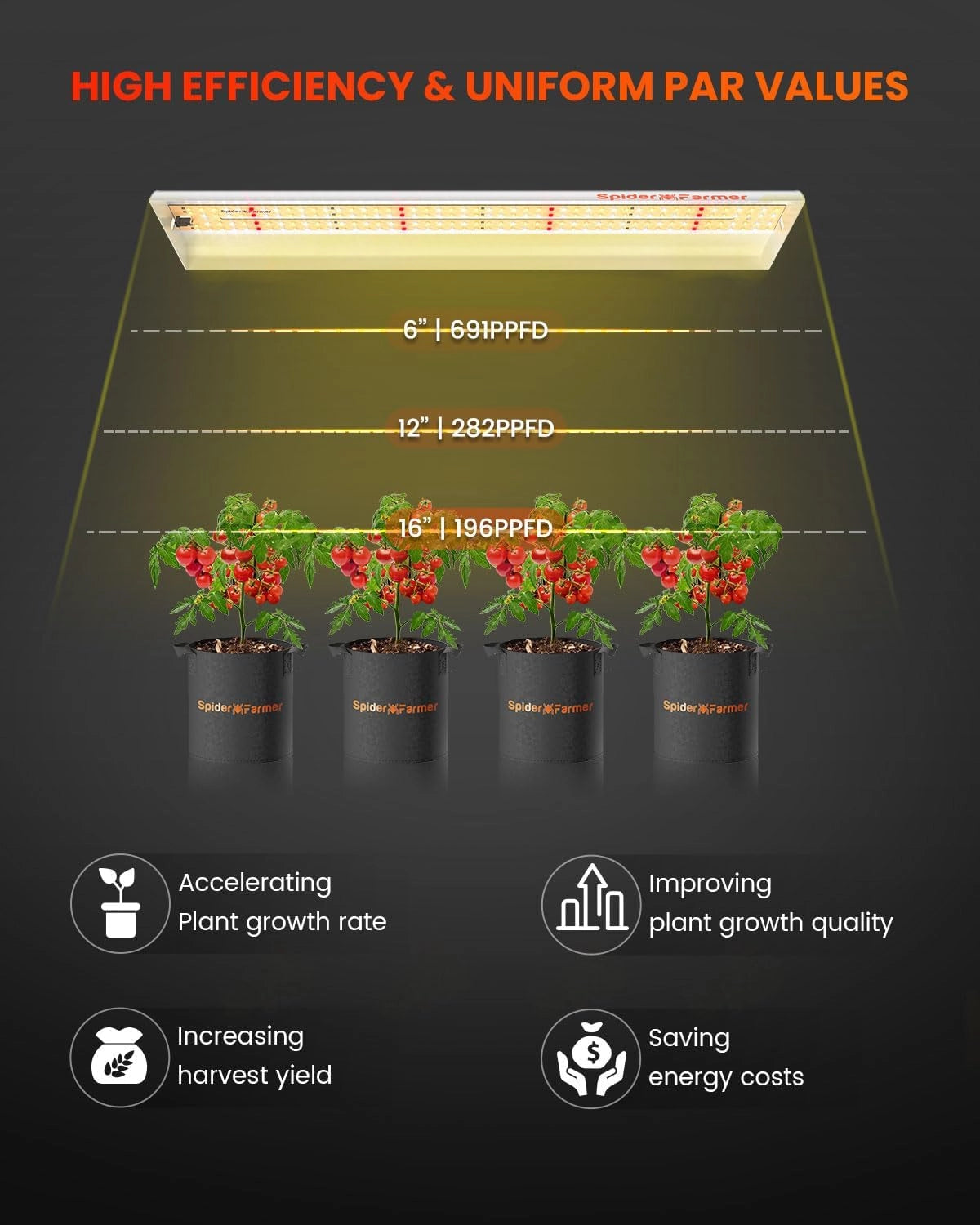 Spider Farmer SF300 33W LED-Pflanzenlampe Abstände Wachstum