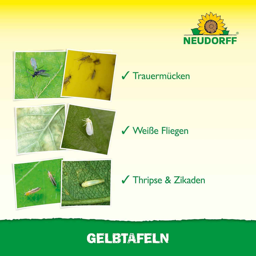 Gelbtafeln 7,5 x 20 cm – Neudorff 21 Stück Anwendungsgebiet
