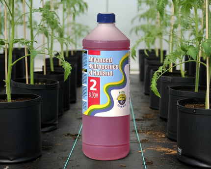 Advanced Hydroponics BLOOM, 1 L | organic-design.com