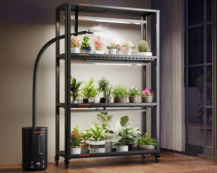 Spider Farmer 6L Luftbefeuchter schwarz - Ultraschall Kaltnebel mit Digitalanzeige