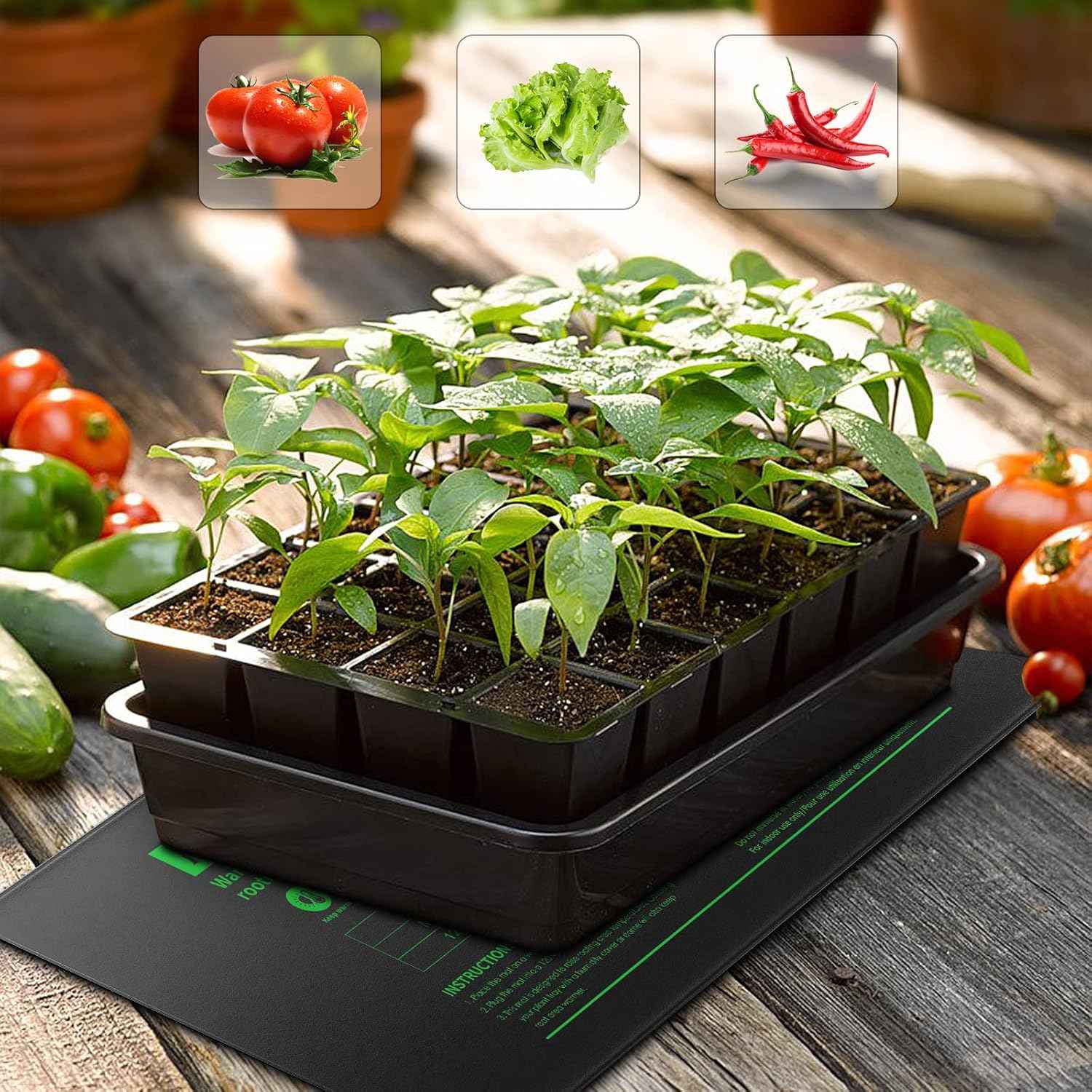 Mars Hydro Heizmatte 25×52 cm mit digitalem Thermostat