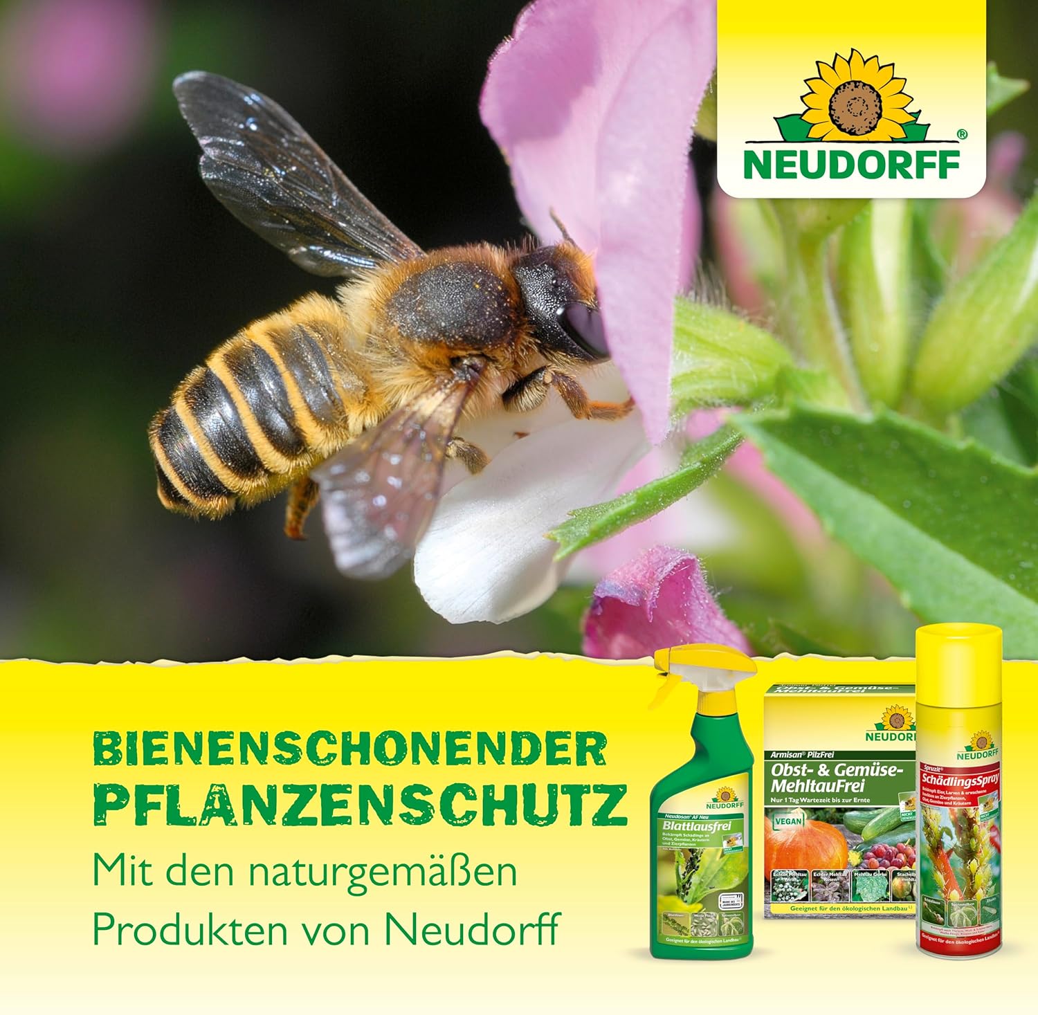 Spruzit NEEM GemüseSchädlingsfrei, 75 ml Bienenschonend