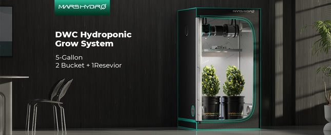 Mars Hydro DWC System Detailansicht - professionelle Hydroponik Komponenten