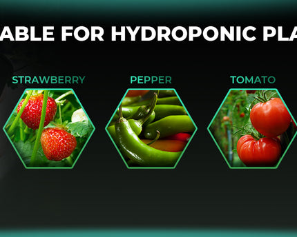 Mars Hydro 4 Eimer 5-Gallonen DWC Hydroponisches System - organic-design.com
