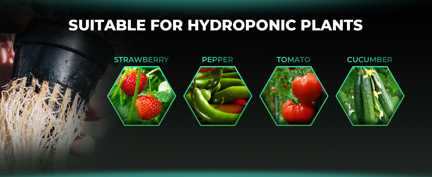 Mars Hydro DWC Hydroponik-Systemkit mit 2 Eimern - organic-design.com
