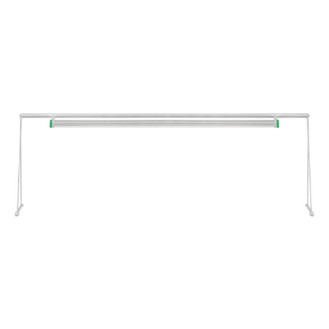 ROOT!T LED Light Stand - Double organic-design.com