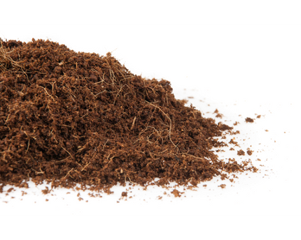 CANNA Kokossubstrat Textur - lockere, luftige Struktur für optimale Wurzelentwicklung