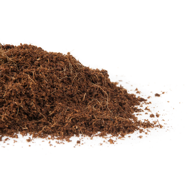 CANNA Kokossubstrat Textur - lockere, luftige Struktur für optimale Wurzelentwicklung