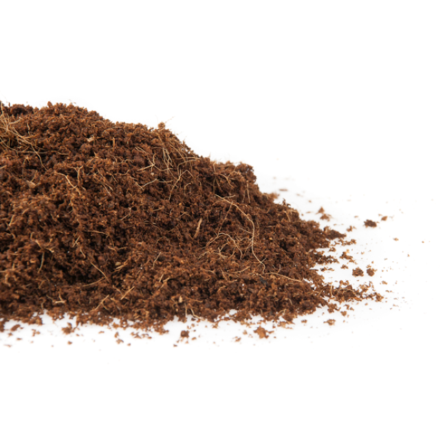 CANNA Kokossubstrat Textur - lockere, luftige Struktur für optimale Wurzelentwicklung