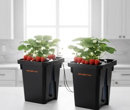 Spider Farmer DWC-Hydroponik System 2x7 Gallonen Tiefwasserkultur