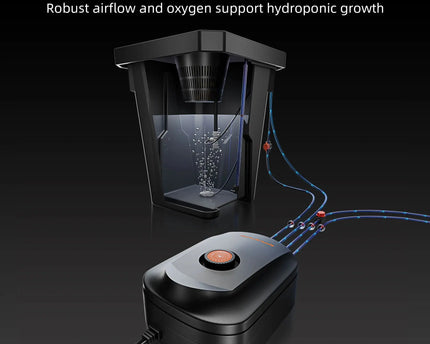 Spider Farmer DWC-System Detailansicht - Tiefwasserkultur mit Luftpumpe und Luftsteinen
Spider Farmer DWC-System Detailansicht - Tiefwasserkultur mit Luftpumpe und Luftsteinen